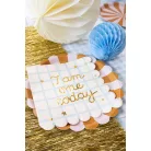 Papírtányér csíkos mintával - 21 cm (6 db)