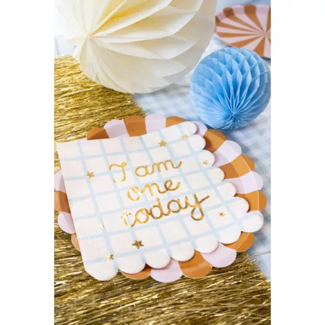 Papírtányér csíkos mintával - 21 cm (6 db)