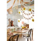 Első Születésnap Banner - Macis kollekció