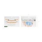 Első Születésnap Banner - Macis kollekció