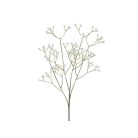 Művirág – Fehér Rezgő