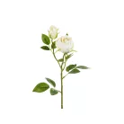 Művirág – Bimbózó rózsaszál, világos krém