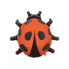 Fólia lufi – Katicabogár