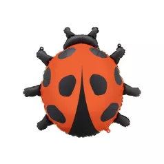 Fólia lufi – Katicabogár