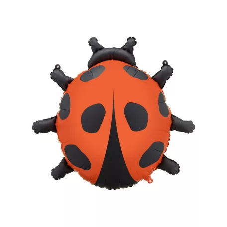 Fólia lufi – Katicabogár