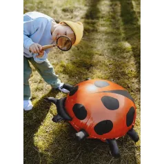 Fólia lufi – Katicabogár