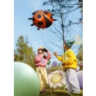 Fólia lufi – Katicabogár