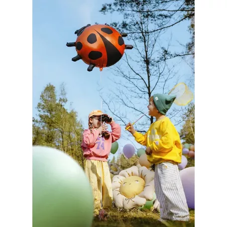 Fólia lufi – Katicabogár