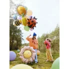 Fólia lufi – Katicabogár