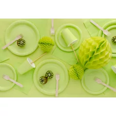 Papír tányér világoszöld, 23 cm (6 db)