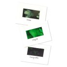 Alcohol Ink készlet , Tim Holtz® Alcohol Ink / Mint/Green Spectrum (1 csomag)