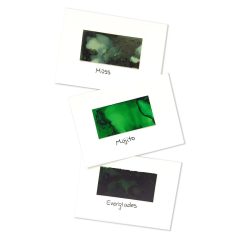   Alcohol Ink készlet , Tim Holtz® Alcohol Ink / Mint/Green Spectrum (1 csomag)