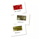 Ranger Alkoholos tinta készlet Tuscan Garden Tim Holtz Alcohol Ink (3 db)