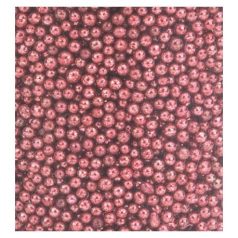   Szórógyöngy , MIXED MEDIA Caviar Breads /  - Coral (1 csomag)