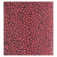   Szórógyöngy , MIXED MEDIA Caviar Breads /  - Red (1 csomag)