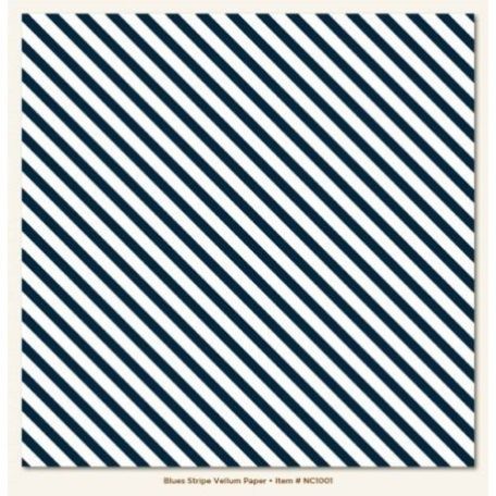 Pauszpapír , Blues Stripe / My Mind's Eye Vellum Sheet (1 csomag)