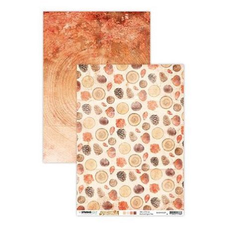 Scrapbook papír A4, Studio Light Scrap / Wonderful Autumn, nr.329 -  (1 lap)
