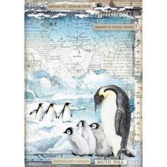Rizspapír A4, Stamperia Rice Paper / Penguins -  (1 lap)