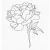 Gumibélyegző BG-125, MFT Rubber Stamp / Peony Perfection (1 csomag)