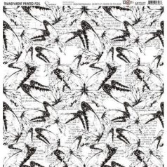   Átlátszó fólia 12", Sunrise / 13@rts Transparent foil (1 csomag)