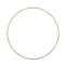 Fémkarika Ø25cm, Metal ring / Pale green -  (1 db)
