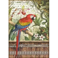   Rizspapír A4, Stamperia Rice Paper / Amazonia parrot -  (1 lap)