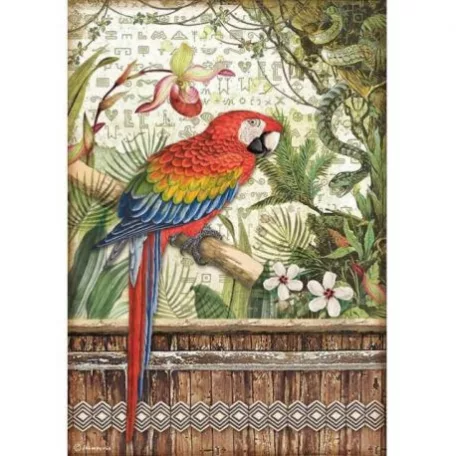 Rizspapír A4, Stamperia Rice Paper / Amazonia parrot -  (1 lap)