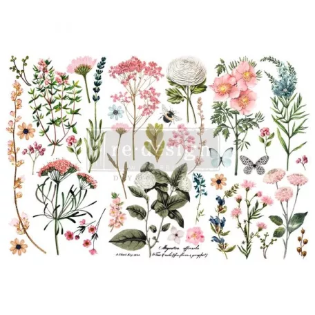 Re-Design with Prima Transzfer fólia 6"x12" (15x30cm) - Botanical Paradise - Decor Transfers (1 csomag)