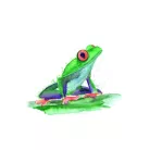 Akvarell ecsetfilc készlet , Watercolour / Spectrum Noir Discovery Kit (1 csomag)