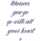 Kalligráfia készlet , Modern Calligraphy / Spectrum Noir Discovery Kit (1 csomag)