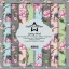 Papírkészlet 6" (15 cm), Spring Birds / PF Paper Pack (24 ív)