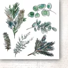 Papírkészlet 6" (15 cm), Flowers and Ornaments / Paper Heaven Paper Collection (24 lap)