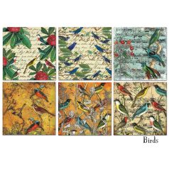   Papírkészlet 12" (30 cm), Birds / Decorer Scrapbook Paper (18 ív)
