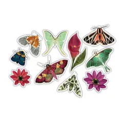   Fa díszítőelem , Wood Shapes / Craft Consortium Midnight Flight (1 csomag)