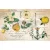 Decoupage papír 19"X30" (49x76cm), Primrose / Re-Design with Prima Tissue Paper (1 csomag)
