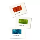 Ranger Alkoholos tinta készlet Spring Break Tim Holtz Alcohol Ink (3 db)