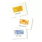 Ranger Alkoholos tinta készlet Wildflowers Tim Holtz Alcohol Ink (3 db)