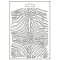 Textúra alap A5, Savana Zebra Pattern / Stamperia Soft Mould (1 db)