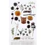 Matrica készlet Garden Mini Stickers (1 ív)