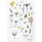 Matrica készlet Flower compositions Mini Stickers (1 ív)