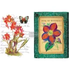 Transzfer fólia 22"X32", Wondrous Flora / Re-Design with Prima Decor Transfers (1 csomag)