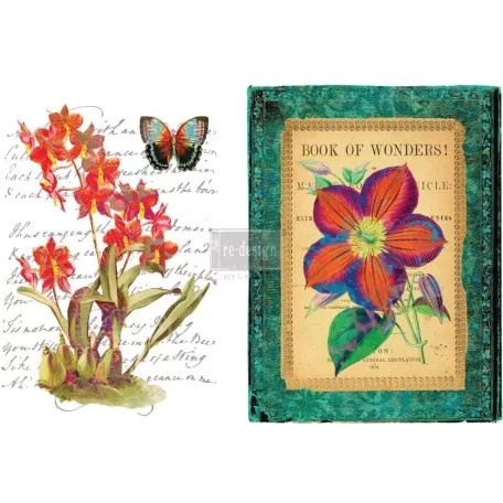 Transzfer fólia 22"X32", Wondrous Flora / Re-Design with Prima Decor Transfers (1 csomag)