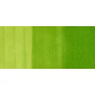 Copic Sketch alkoholos marker FYG2,  / Copic Sketch Marker (1 db)