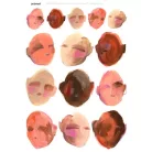 Rizspapír A4, Fresh Faced / Jane Davenport Rice Paper (8 ív)