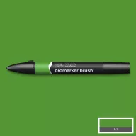   Promarker Brush kétvégű alkoholos ecsetfilc G356, Forest Green / Winsor&Newton Promarker Brush (1 db)