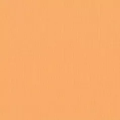   Scrapbook alapkarton 10 ív Texturált felületű - 12" (30 cm) - grapefruit - grapefruit - Cardstock texture