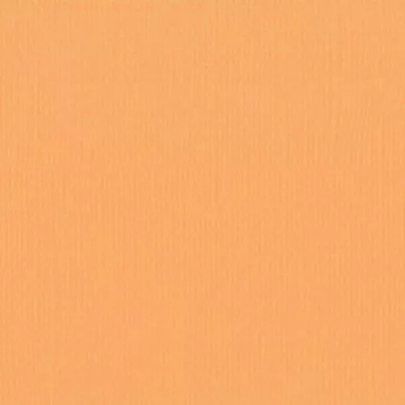 Scrapbook alapkarton 10 ív Texturált felületű - 12" (30 cm) - grapefruit - grapefruit - Cardstock texture