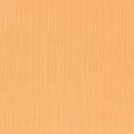   Scrapbook alapkarton 10 ív Texturált felületű - 12" (30 cm) - peach - őszibarack - Cardstock texture