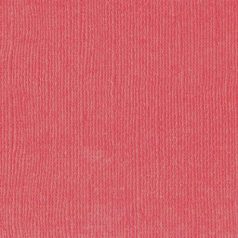   Scrapbook alapkarton 10 ív Texturált felületű - 12" (30 cm) - kiss - csók - Cardstock texture