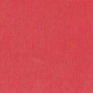   Scrapbook alapkarton 10 ív Texturált felületű - 12" (30 cm) - poppy - mák - Cardstock texture